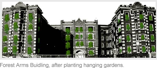 project_hg_forestarms_after